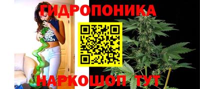 стаф Лесосибирск