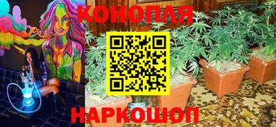 PSILOCYBIN Ливны
