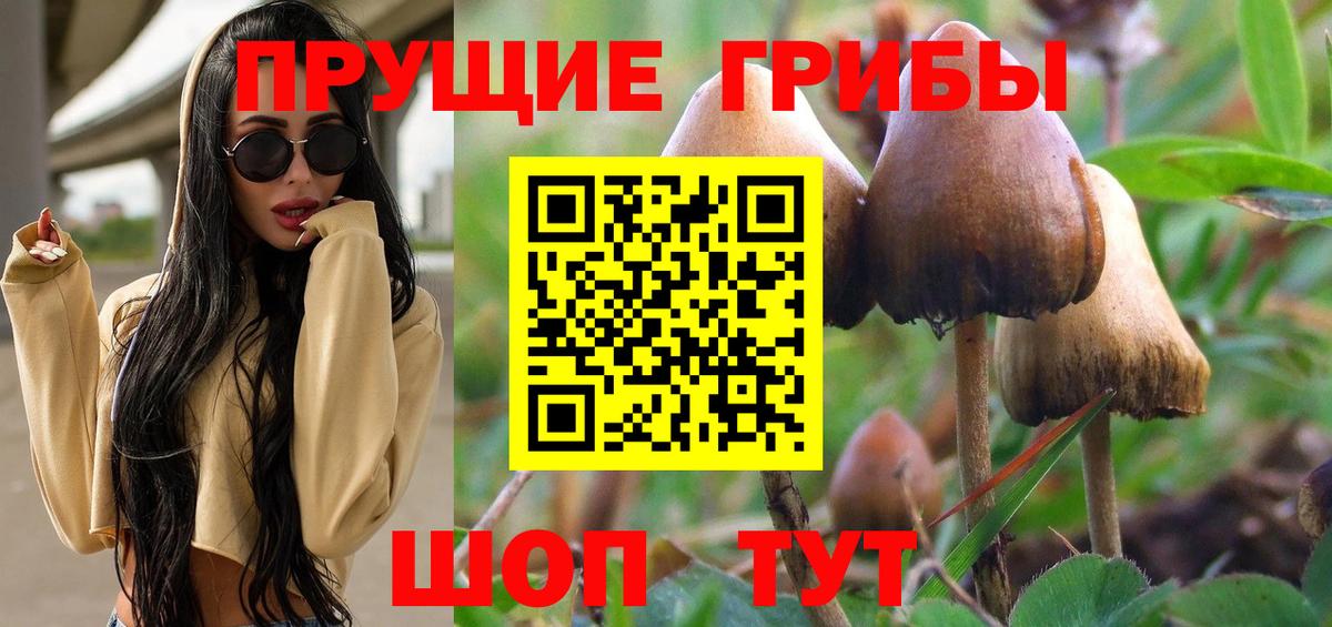 Галлюциногенные грибы Cubensis Хабаровск