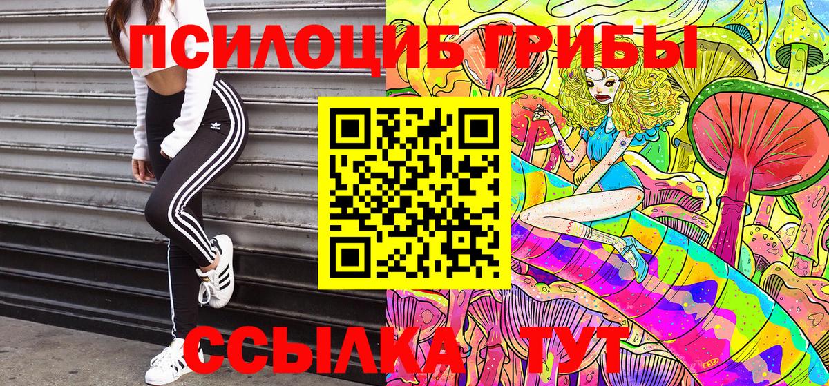 Псилоцибиновые грибы MAGIC MUSHROOMS  Галлюциногенные грибы мицелий  Хабаровск  Вход с VPN 